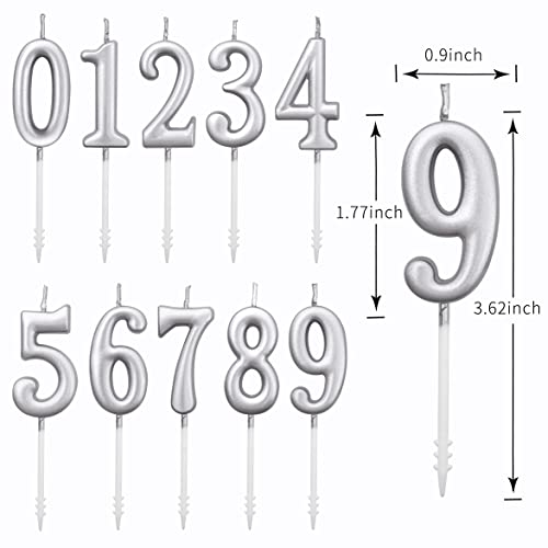 PHD CAKE 10-Pieces Silver Classical Number