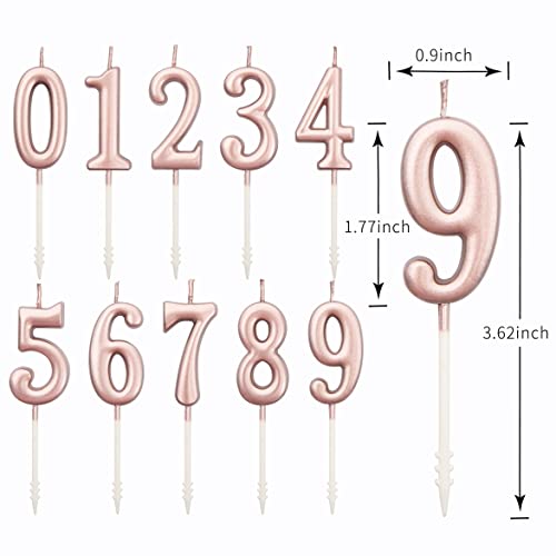 PHD CAKE 10-Pieces Rose Gold Classical Number