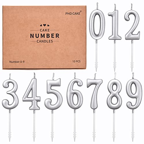 PHD CAKE 10-Pieces Silver Classical Number